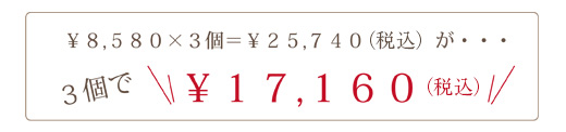 2個の値段で3個買えちゃうキャンペーン/サービス/セール